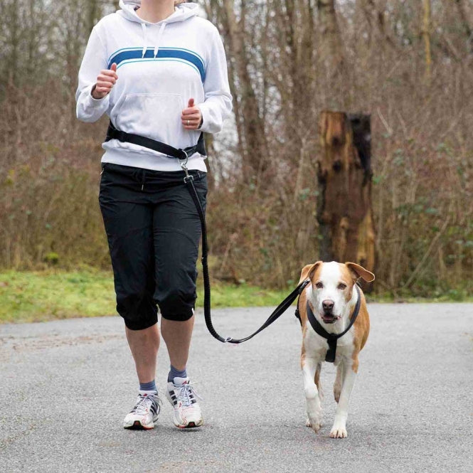 Trixie Bauchgurt mit Leine – Jogging-Set für mittelgroße & große Hunde | Schwarz